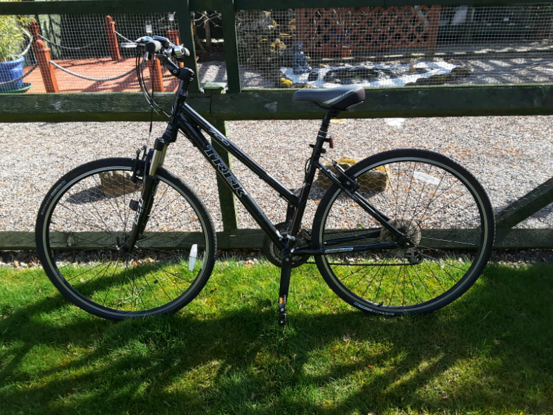trek bikes evans